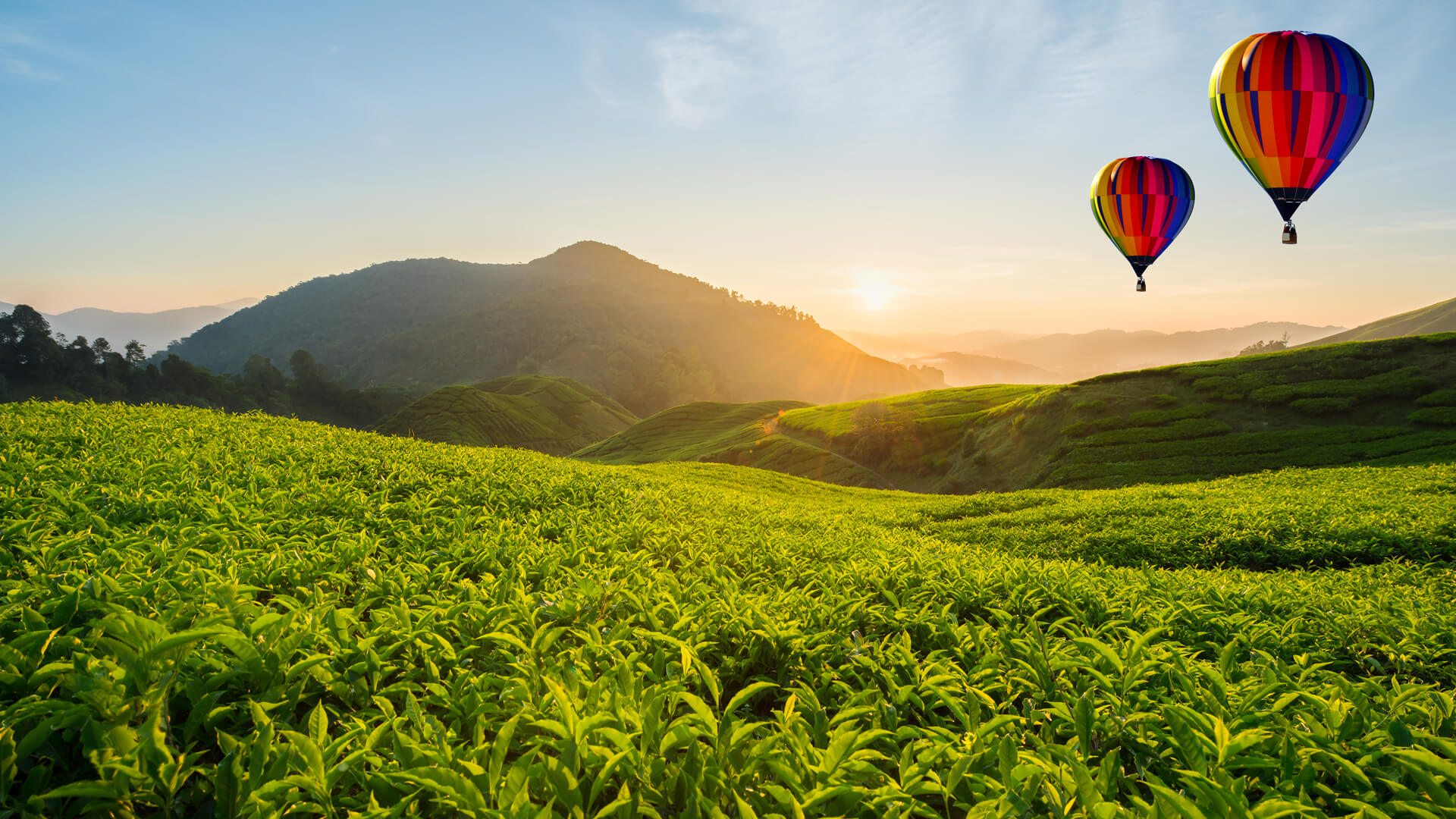 26-Day Sri Lanka Tour private Sri Lanka tour
